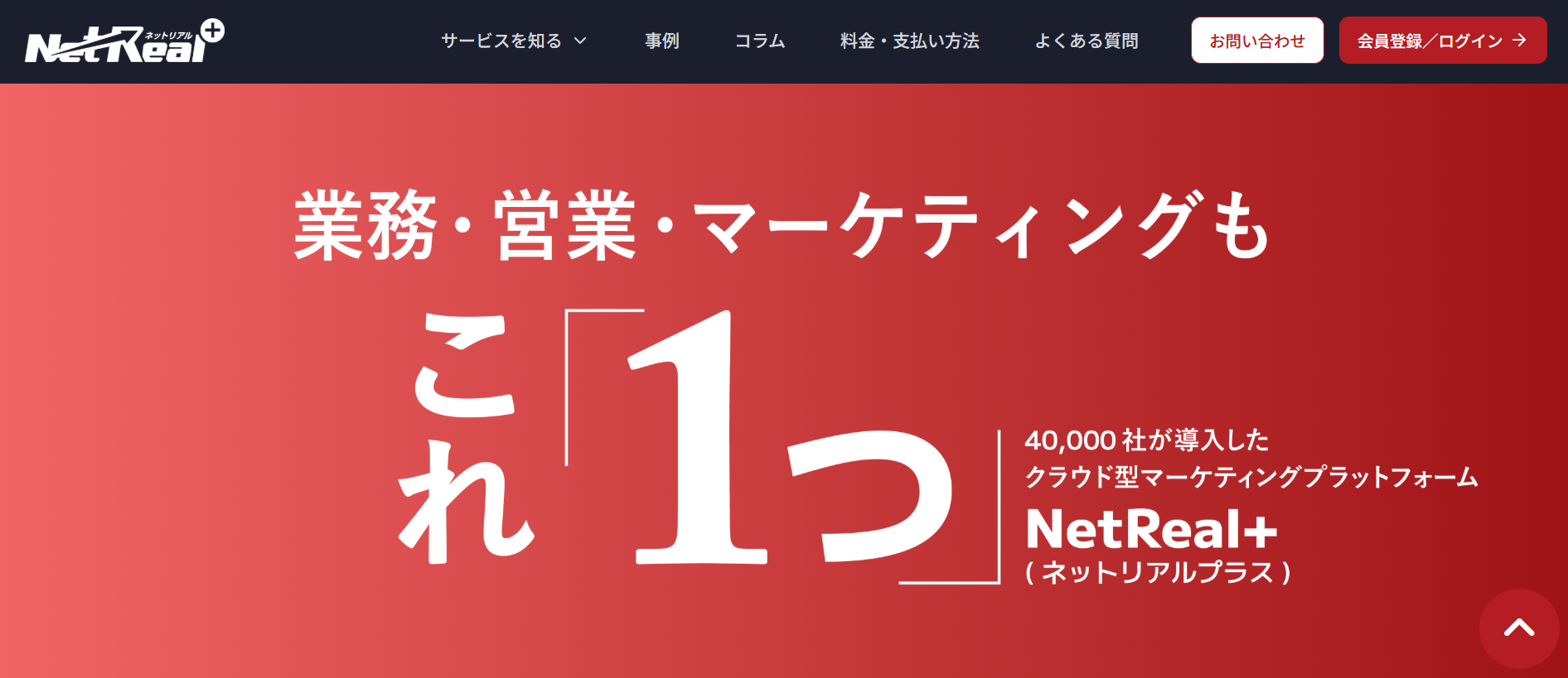 ネットリアル